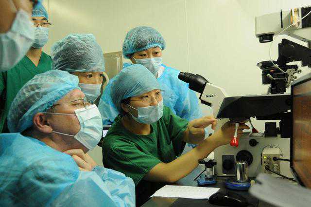 香港验血测胎儿合法吗,做试管婴儿男的要检查那些
