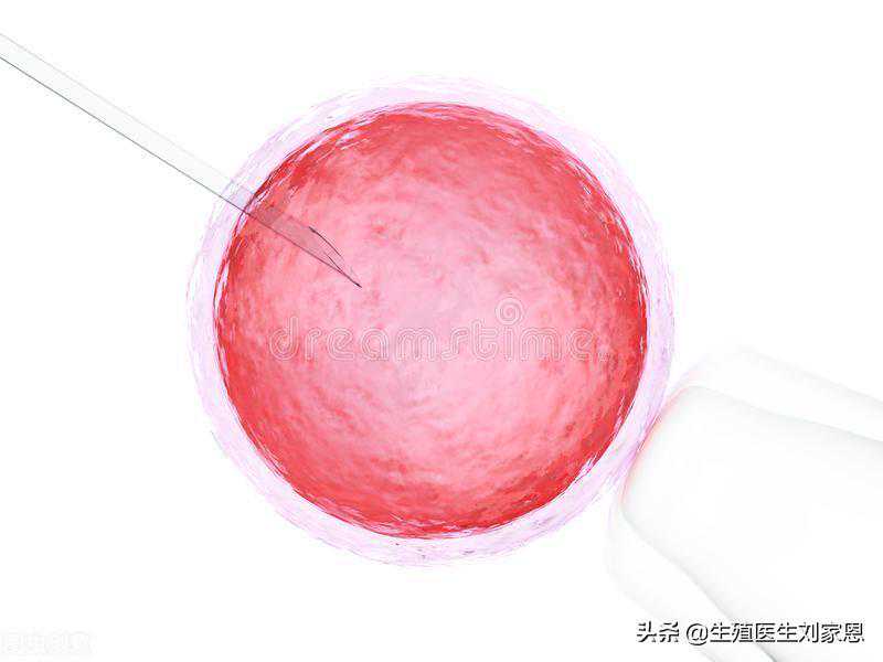 香港验血邮寄海关,取卵会让更年期提前？这位医生的言论让全国试管女性终于