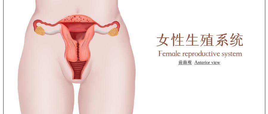 香港验血无法得到结论,《全孕期问答》(二)：备孕筹备篇-天使医生为您解答疑