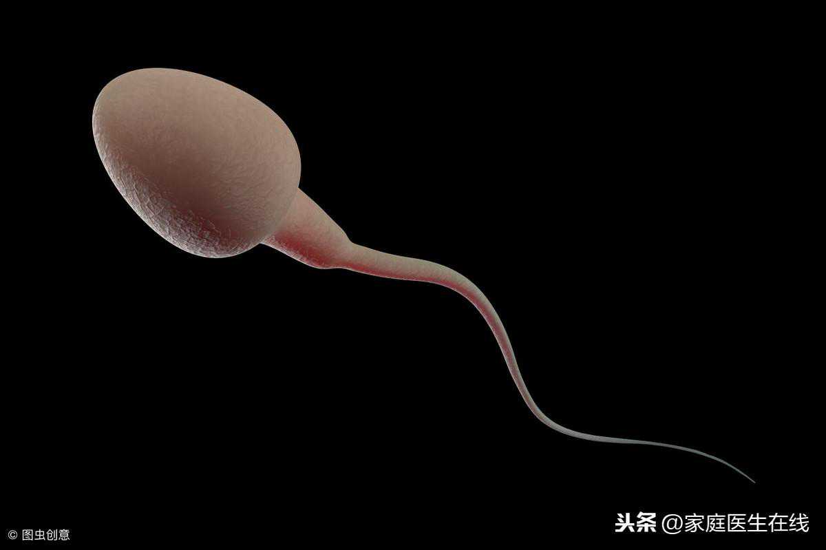 香港dna验血合法吗,【生男孩的孕前准备】生男孩的正确备孕和孕前准备，这些