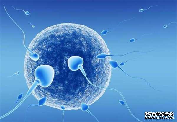 香港验血科学方法提早知道_怀孕多久可测出男女_验血攻略及流程说明