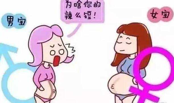 香港验血为什么合法_去香港查胎儿性别要怀孕多久_验血查男女需要什么流程