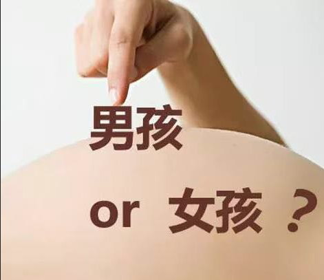 香港验血多少钱招贴网_上海去验血测男女准确率有多少？本相在这里