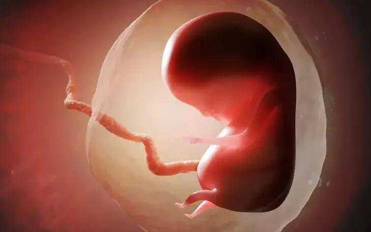 香港验血查胎儿性别流程有哪些_过香港抽血验胎儿性别一般多少钱？宝妈亲身