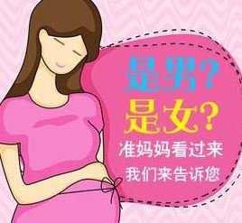 香港验血的预约方法_过香港抽血验胎儿性别精确吗？我在香港验血实在阅历共