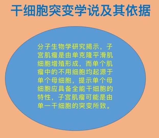 香港精准基因有限公司验血靠谱,子宫肌瘤患病率达25%，是否影响试管婴儿怀孕
